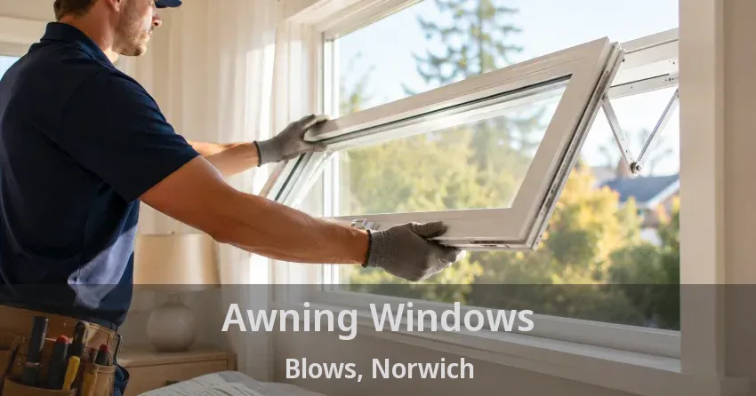 Awning Windows Blows, Norwich - ON