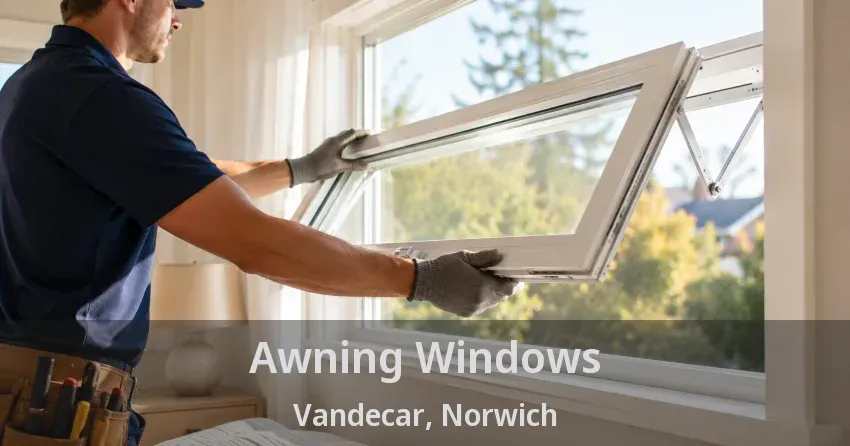 Awning Windows Vandecar, Norwich - ON