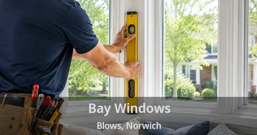 Bay Windows Blows, Norwich - ON