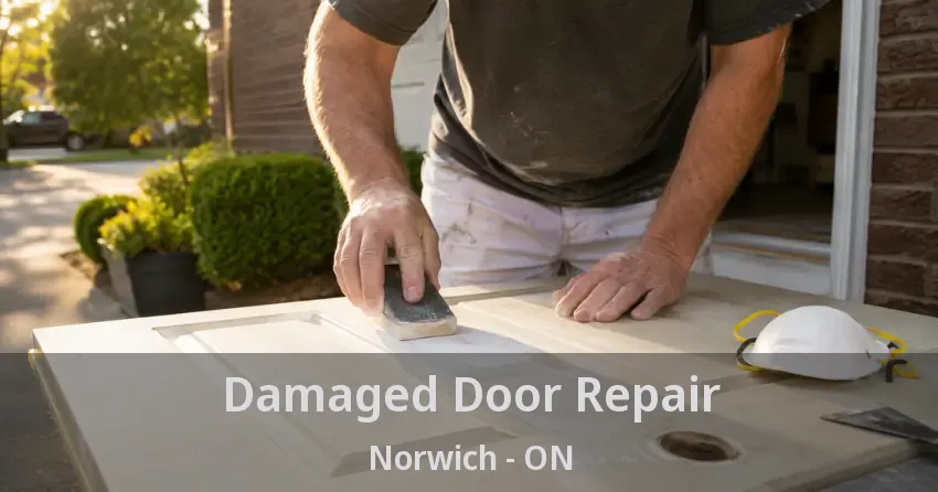 Damaged Door Repair Norwich - ON