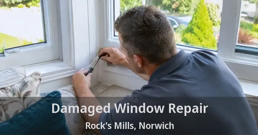 Damaged Window Repair Rock's Mills, Norwich - ON
