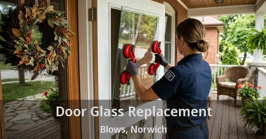 Door Glass Replacement Blows, Norwich - ON