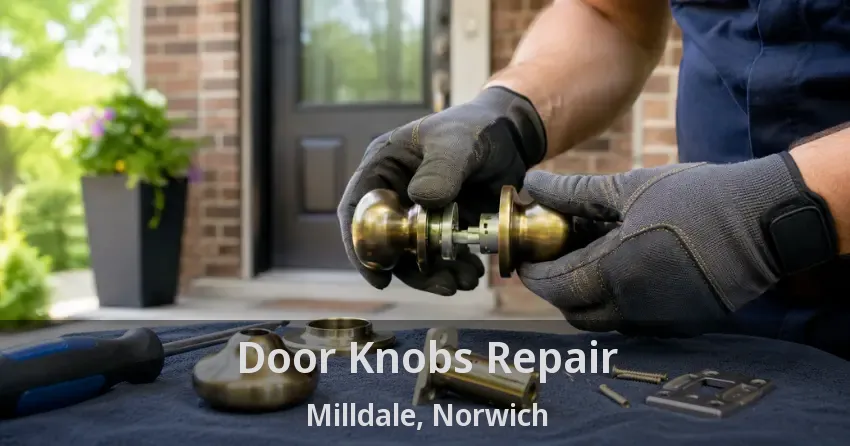 Door Knobs Repair Milldale, Norwich - ON