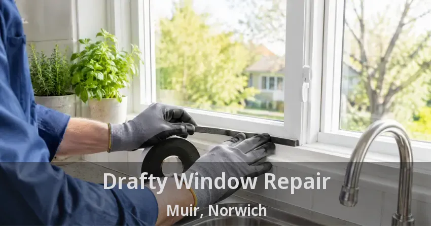 Drafty Window Repair Muir, Norwich - ON