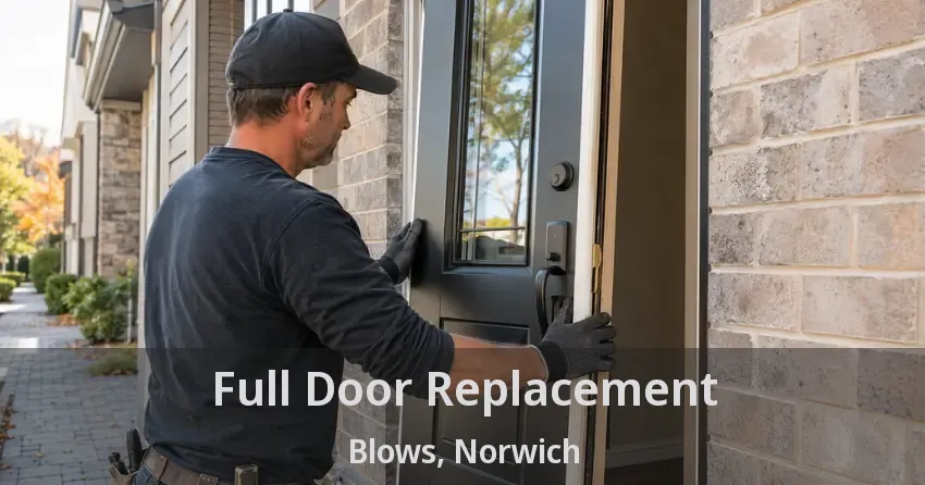 Full Door Replacement Blows, Norwich - ON
