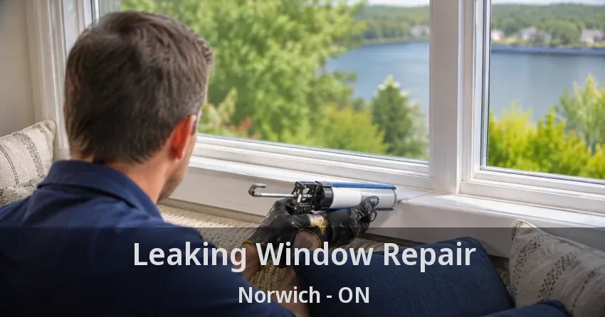 Leaking Window Repair Norwich - ON