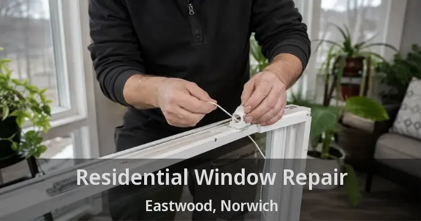 Residential Window Repair Eastwood, Norwich - ON