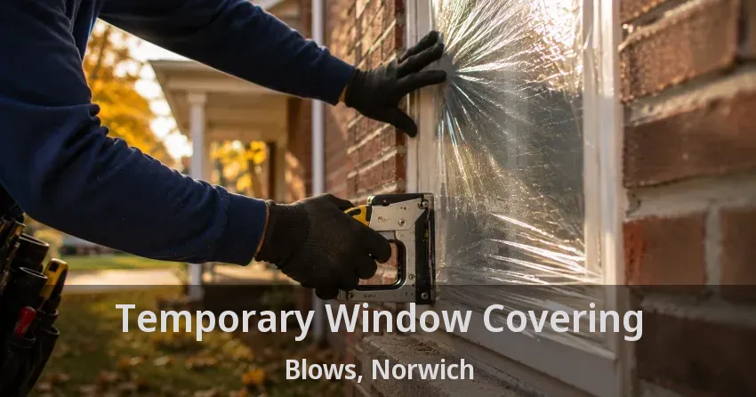 Temporary Window Covering Blows, Norwich - ON