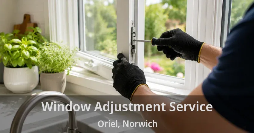 Window Adjustment Service Oriel, Norwich - ON