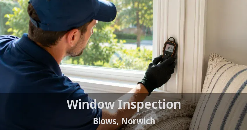 Window Inspection Blows, Norwich - ON