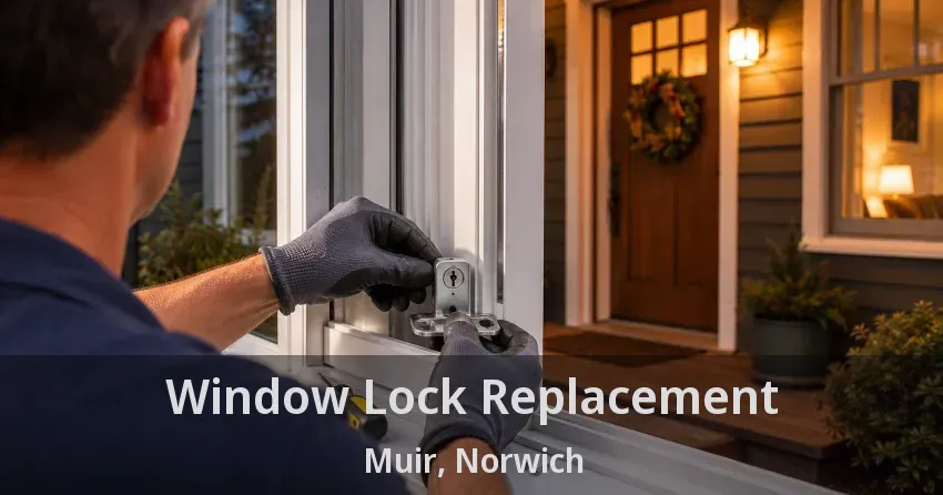 Window Lock Replacement Muir, Norwich - ON