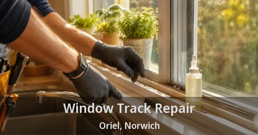 Window Track Repair Oriel, Norwich - ON